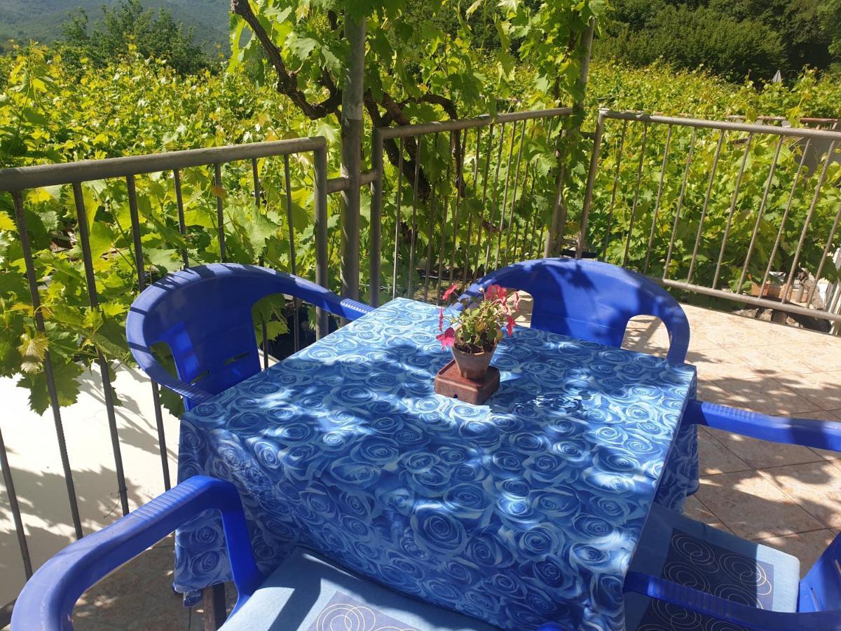 Mijailovic Apartmani Kaluđerac 외부 사진