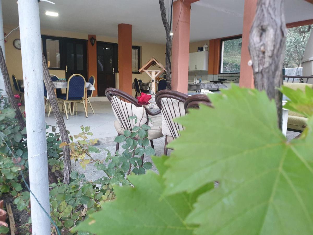 Mijailovic Apartmani Kaluđerac 외부 사진