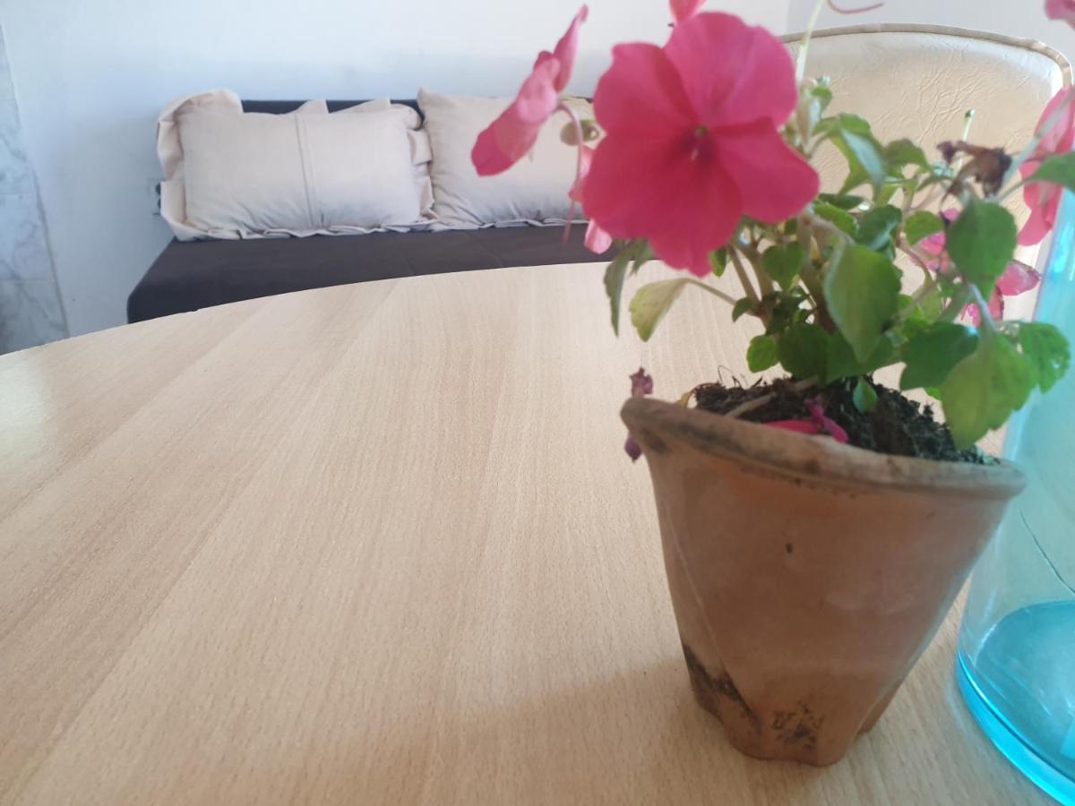 Mijailovic Apartmani Kaluđerac 외부 사진