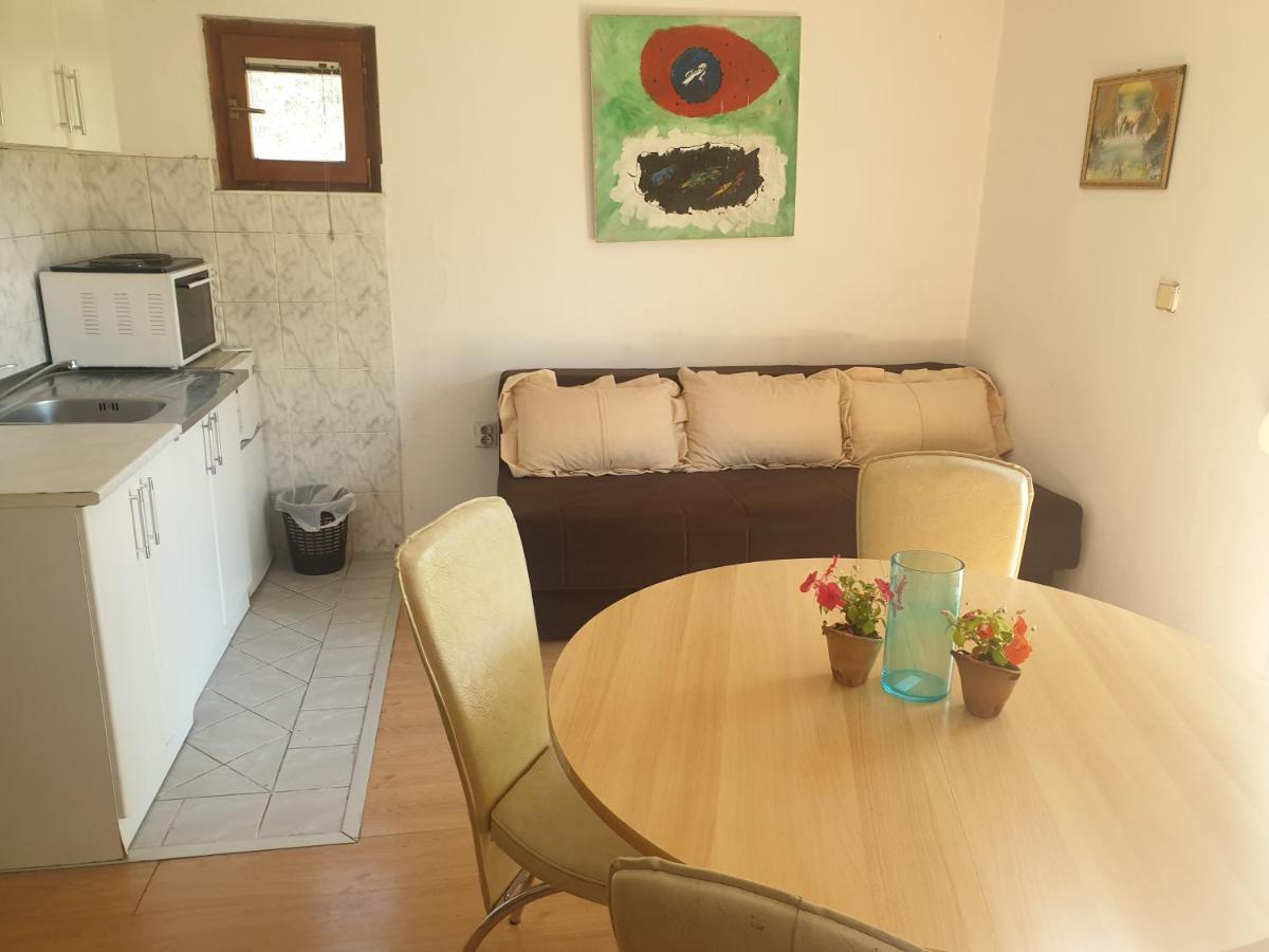 Mijailovic Apartmani Kaluđerac 외부 사진